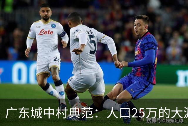 广东城中村典范：人口25万的大源村